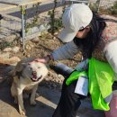 사과밭펜션 | 콩콩팥팥 농활의 계절 가을 홍천사과밭 일꾼 후기 (with.떡잎마을방범대)