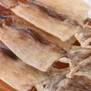 오징어pc 이미지