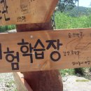 야생초마을아미골 이미지