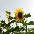 양주해찬솔 이미지