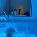 올라스 | 강릉숙소 스파 오션뷰펜션 올라스풀빌라 A동 301호 솔직후기