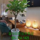 엘시티청담부동산중개법인(주) 이미지