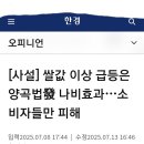 배양곡 Daum카페