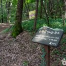 서봉산산림욕장 이미지