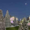 창동 가로수길 | 2025 창원시 빛의 거리 점등식, 오동동에서 열린 겨울의 시작