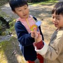 강원특별자치도청어린이집 이미지