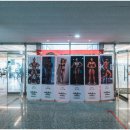 매드볼릭 휘트니스1 이미지