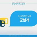 케이안과 이미지