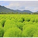 버들공원 이미지