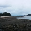 로뎀나무펜션민박 이미지