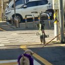 소담목장 이미지