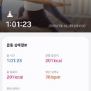 요기니테라피