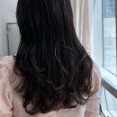 강남역 미용실 살롱드라피네 강남우성점에서 클리닉받은 후기