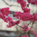 참사랑노인복지센터 이미지