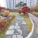 반곡동_수루배 102동 이미지