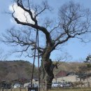 대운상대길 이미지