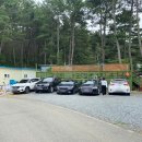 더큰나무펜션 이미지