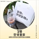 12번지 | <강원 강릉> 강릉 물회 중앙시장 맛집 인생물회 후기