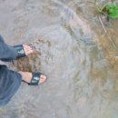 현재농장 이미지