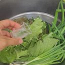 풍년농약마트 이미지