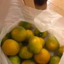 우정 농수산 이미지