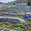 해원농장 이미지