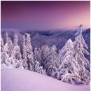 (주)아성다이소 염창역점 | 다이소 고속충전 케이블 아이폰 갤럭시 충전후기