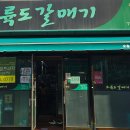 오륙도갈매기