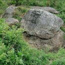 영천 보성리 암각화 | [펌] [역사]한국의 선사 암각화(100%)
