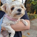 어공7호 이미지