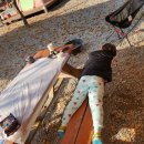 철원탁구장 이미지