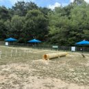 펫 노리터 이미지