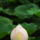 하이미즈한의원 이미지