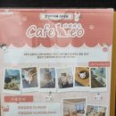 팀레오 | 경기도 화성시 동탄 카페레오 방문 후기