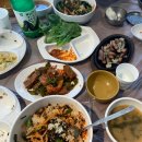 여행스케치 진안마이산 미로공원 완주송광사 삼례시장 당일치기 솔직후기