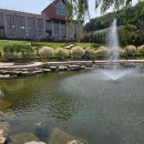 자작나무어린이집 | 날씨마저 완벽했던, 5월의 용인자작나무숲🌲 (주차, 입장료 할인 팁) 용인 가볼만한 곳