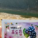 김삿갓면-5 이미지