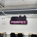 퍼펫 애견카페 | 제주도 애견카페 퍼펫 후기 조카들과 행복했던 하루