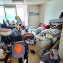 부여군청 이미지