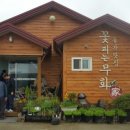 꽃피는 무화家 이미지