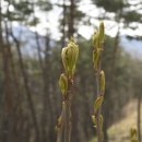 두름농장 이미지