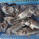 훼미리호 좌대낚시터 이미지