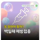 댑스 | 임산부 백일해 주사 예방접종 꼭 맞아야 할까? 직접 알아본 후기
