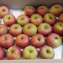 태광농장 이미지