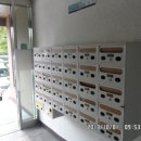 평화로03 이미지