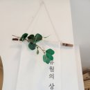 유월의상점