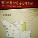 이중인 묘 이미지