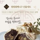 셀러고메즈 | [서울 노원] 천연 발효종 속이 편한 빵 '오마이샬롬'🥨 | 노원구 빵집 추천 | 답례품 커스텀 제작 가능 빵집