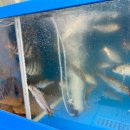 스테이고현 이미지