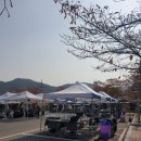 영천전자고등학교 | 타로이벤트 영천전자고 축제 타로부스진행후기